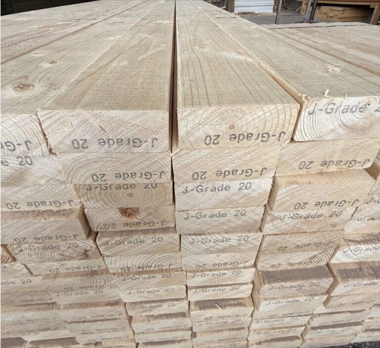 Imagen 17 09 25 a las 12.05 p.m 1 768x703